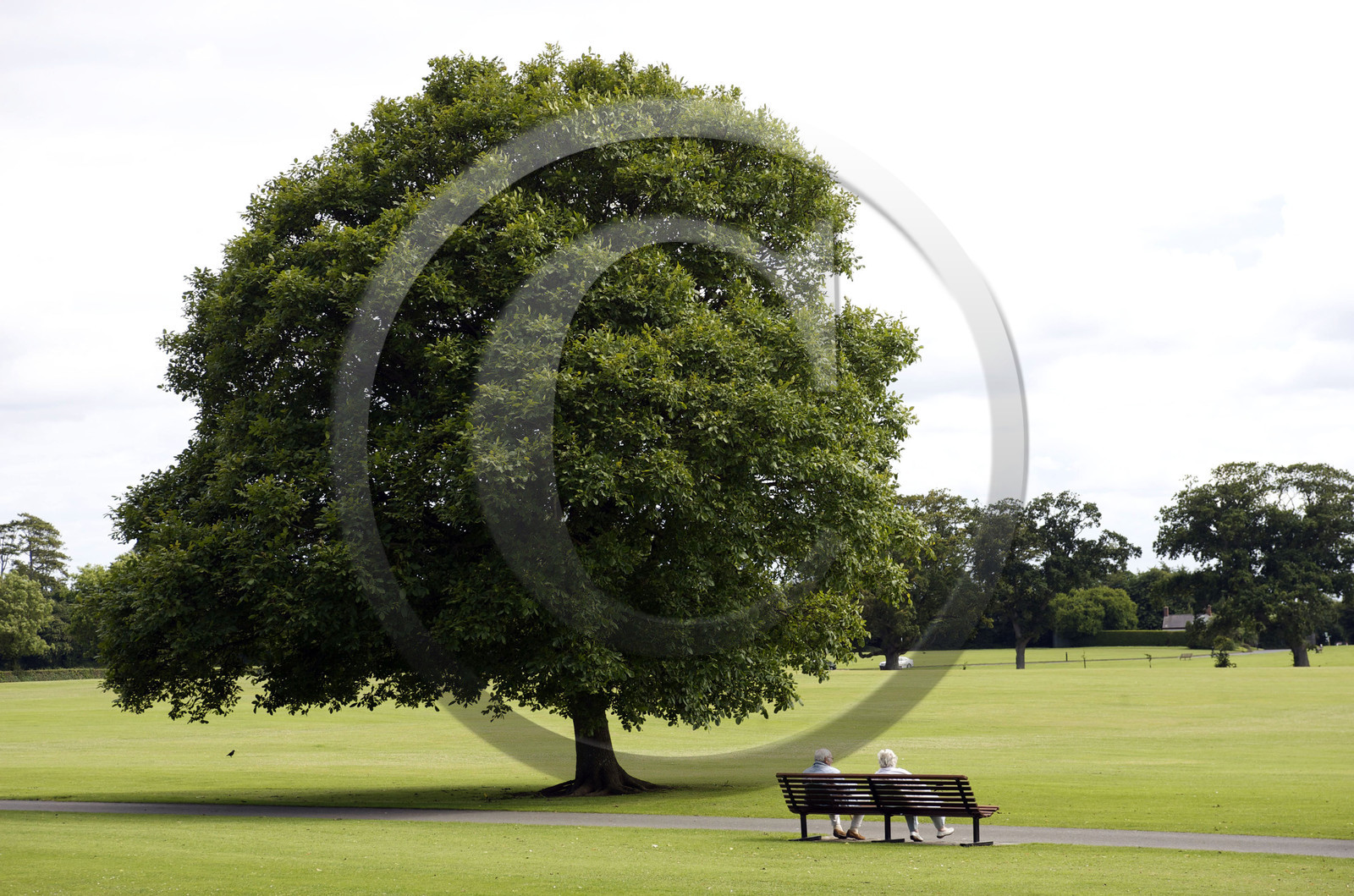 Irlande, Dublin