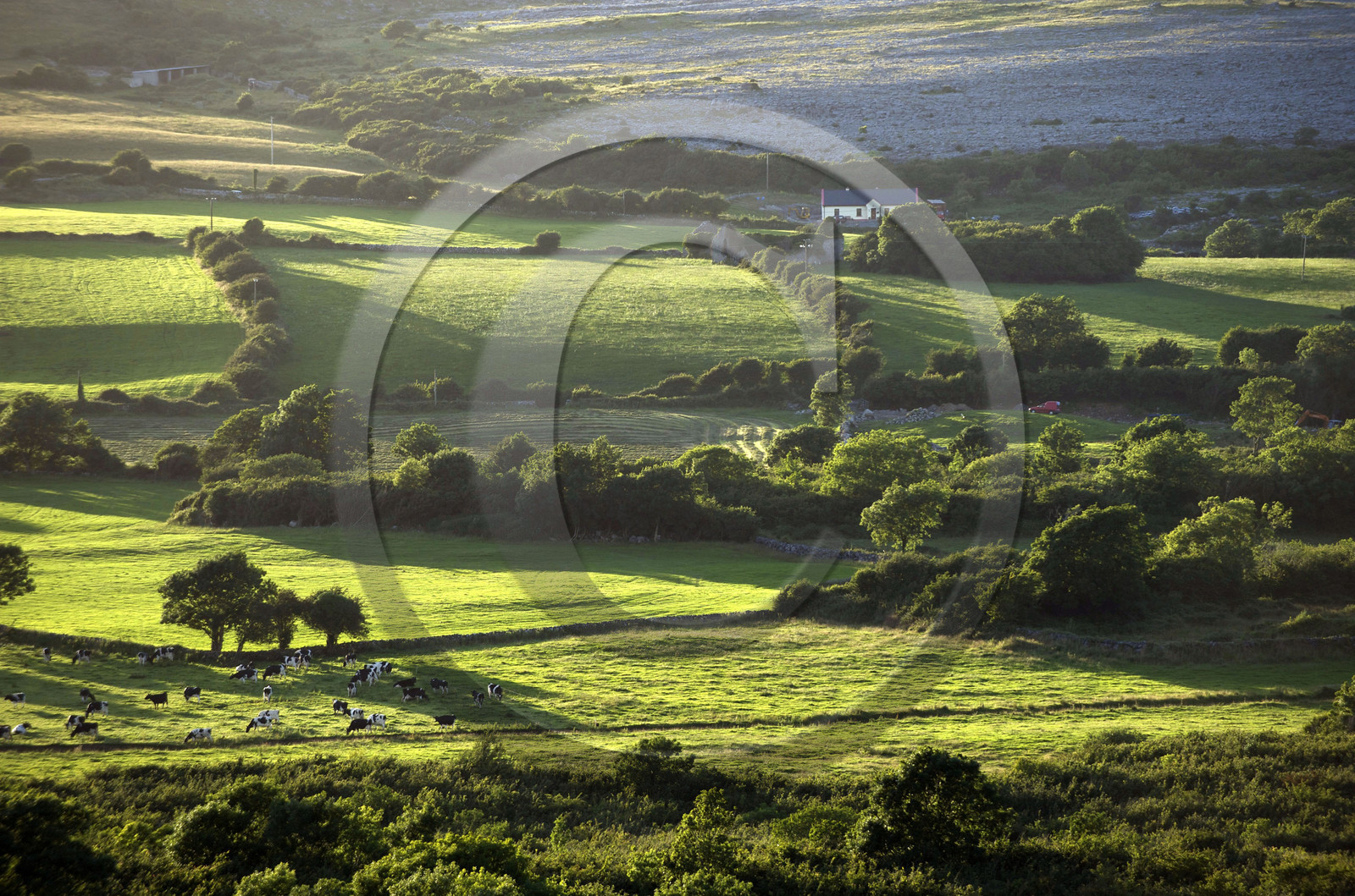 Irlande, Burren