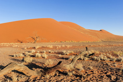 Namibie, Sossusvlei