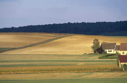 Champagne, France