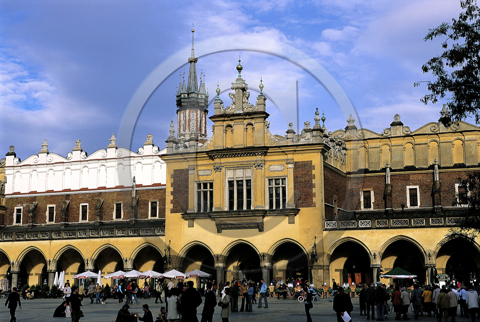 POLOGNE