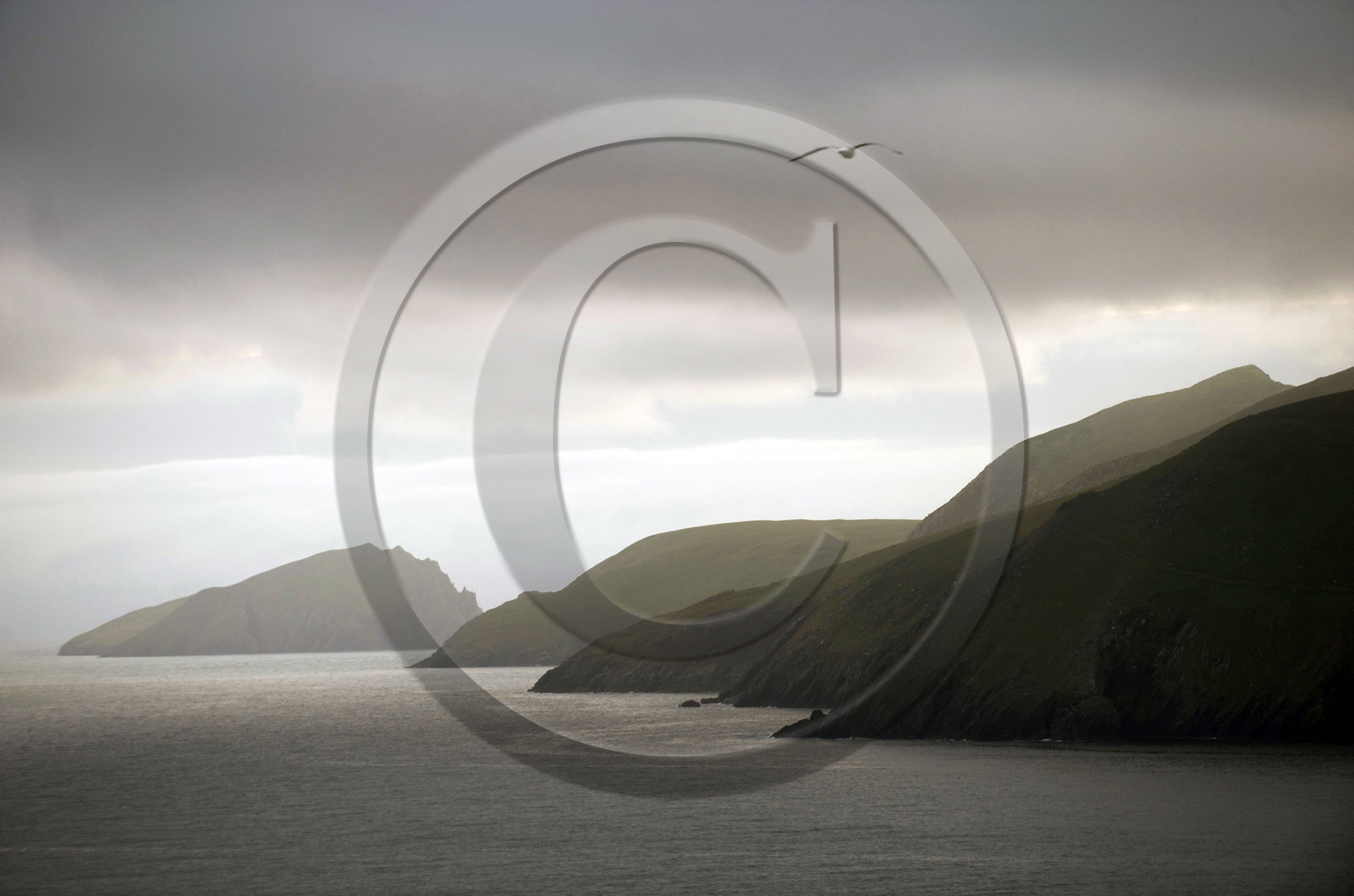 Irlande, Dingle