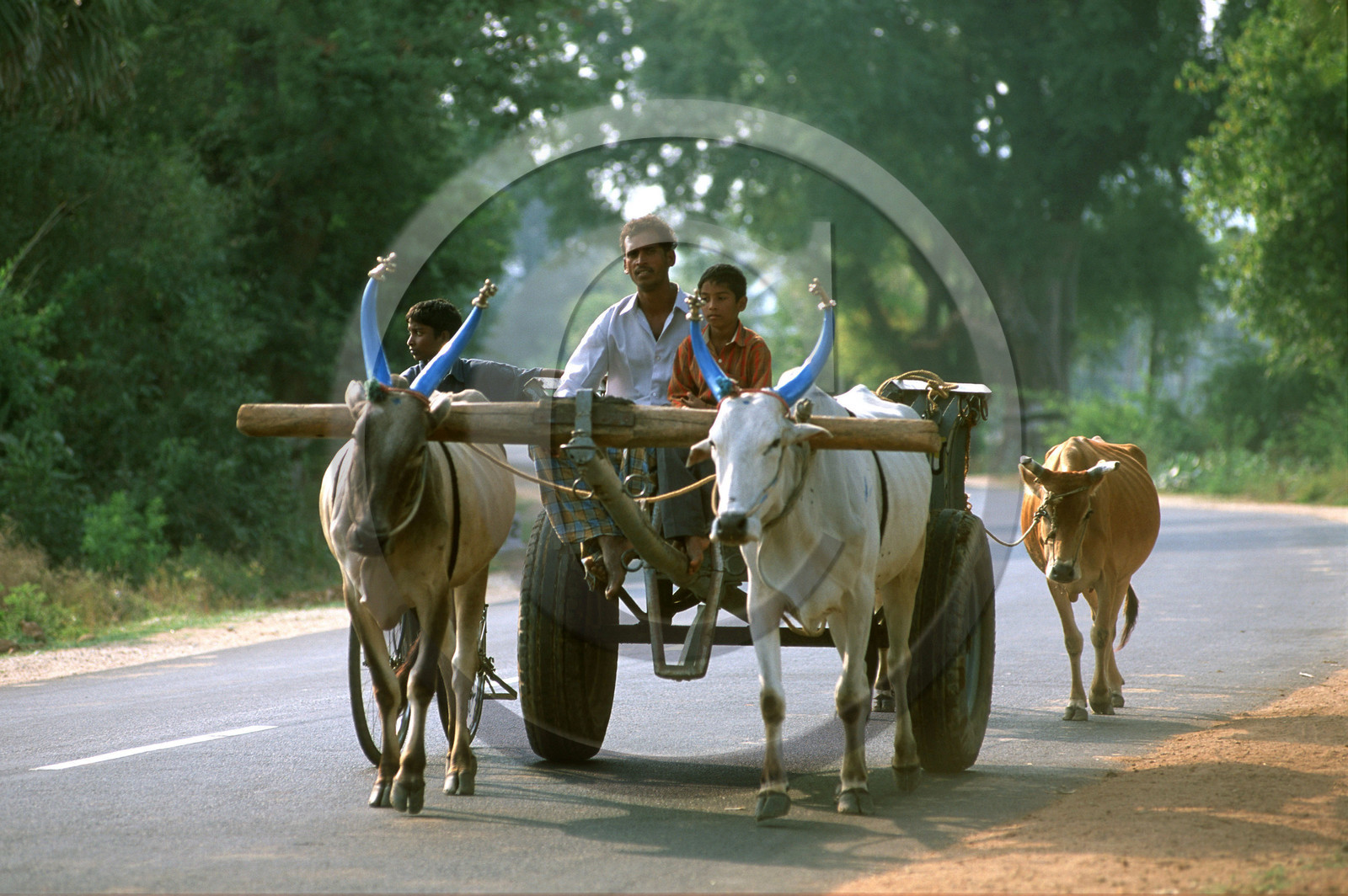 Inde du Sud