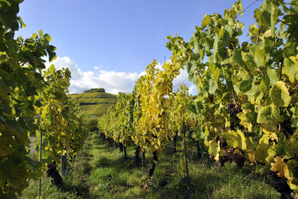 France, Alsace