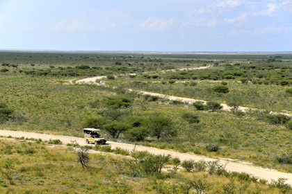 Namibie, Etosha