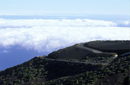 Canaries. Espagne