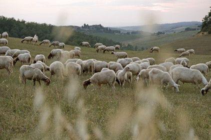 Italie, Siena