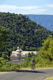 France, Senanque