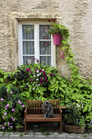 France, Moselle