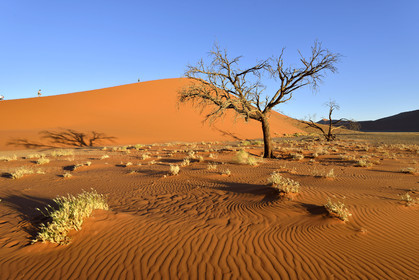 Namibie, Sossusvlei