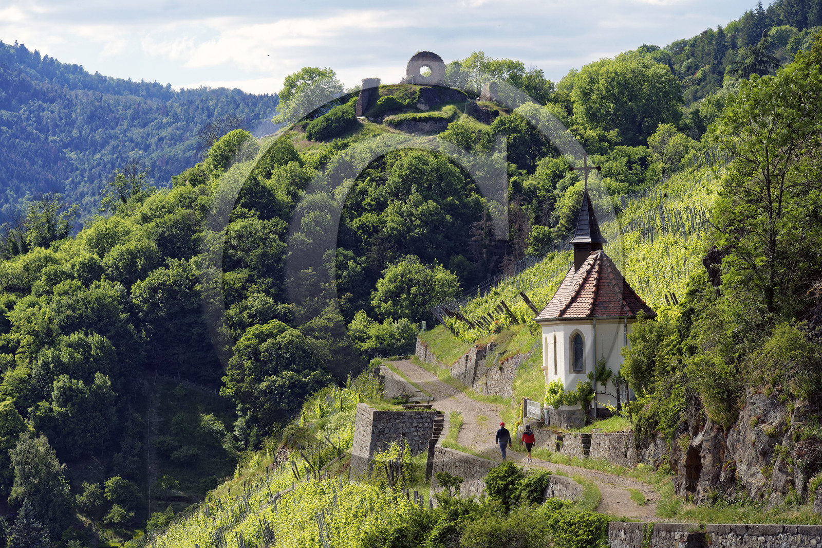 France, Thann