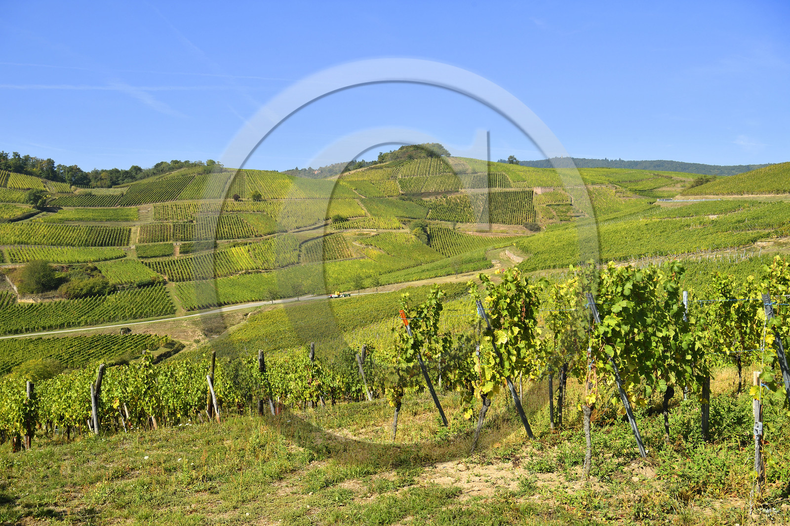 France, Turckheim