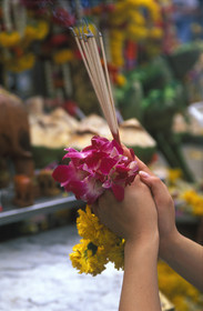 THAILANDE   BANGKOK