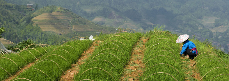 Chine, Longsheng
