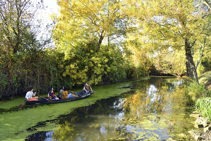 France, Marais Poitevin