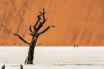 Namibie, Sossusvlei