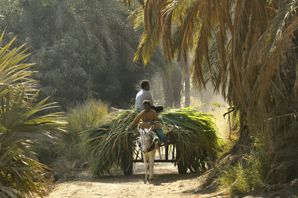 Egypte, Nil