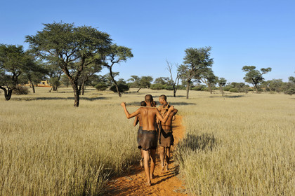 Namibie, Kalahari