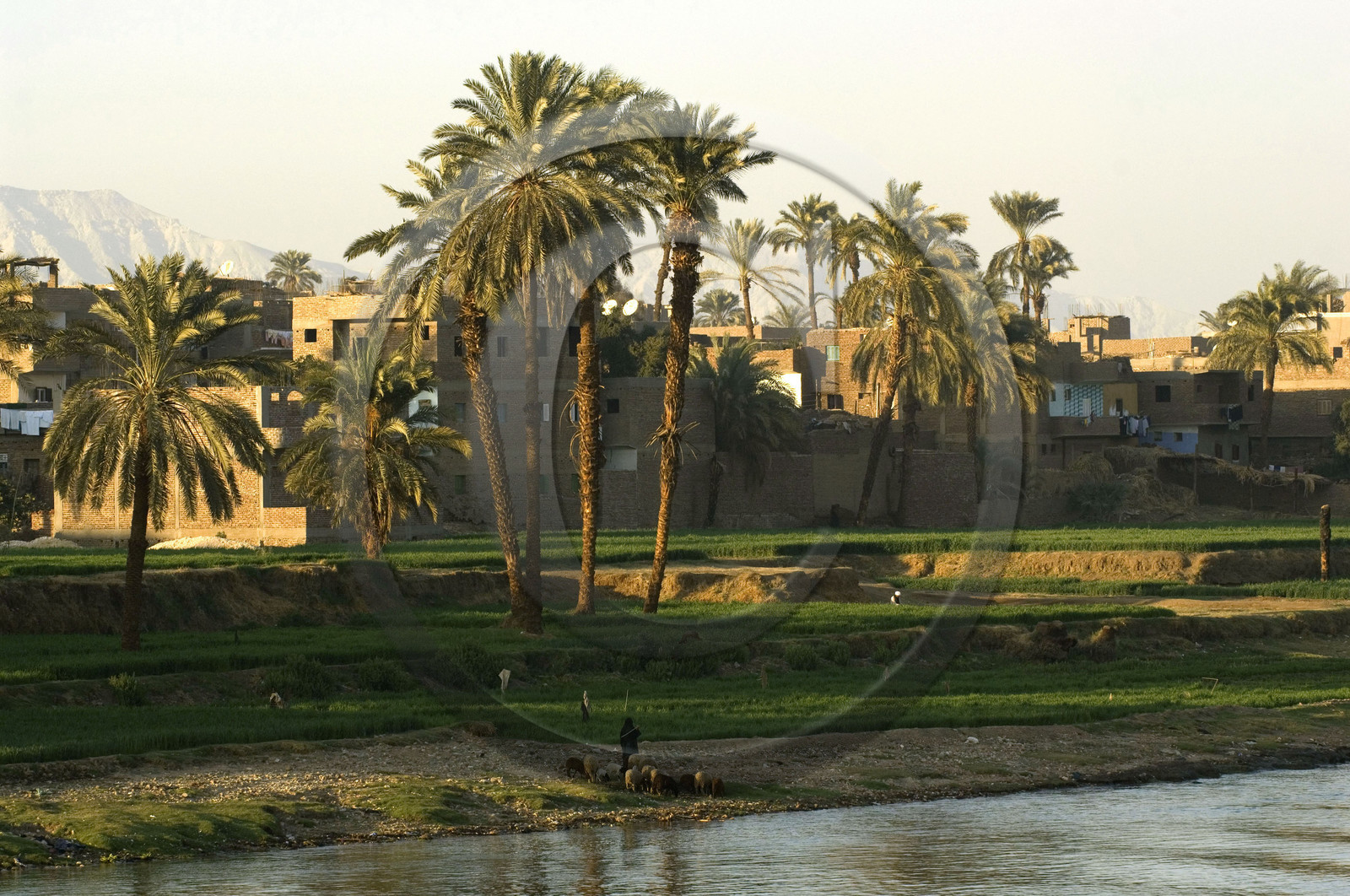Egypte, Vallée du Nil