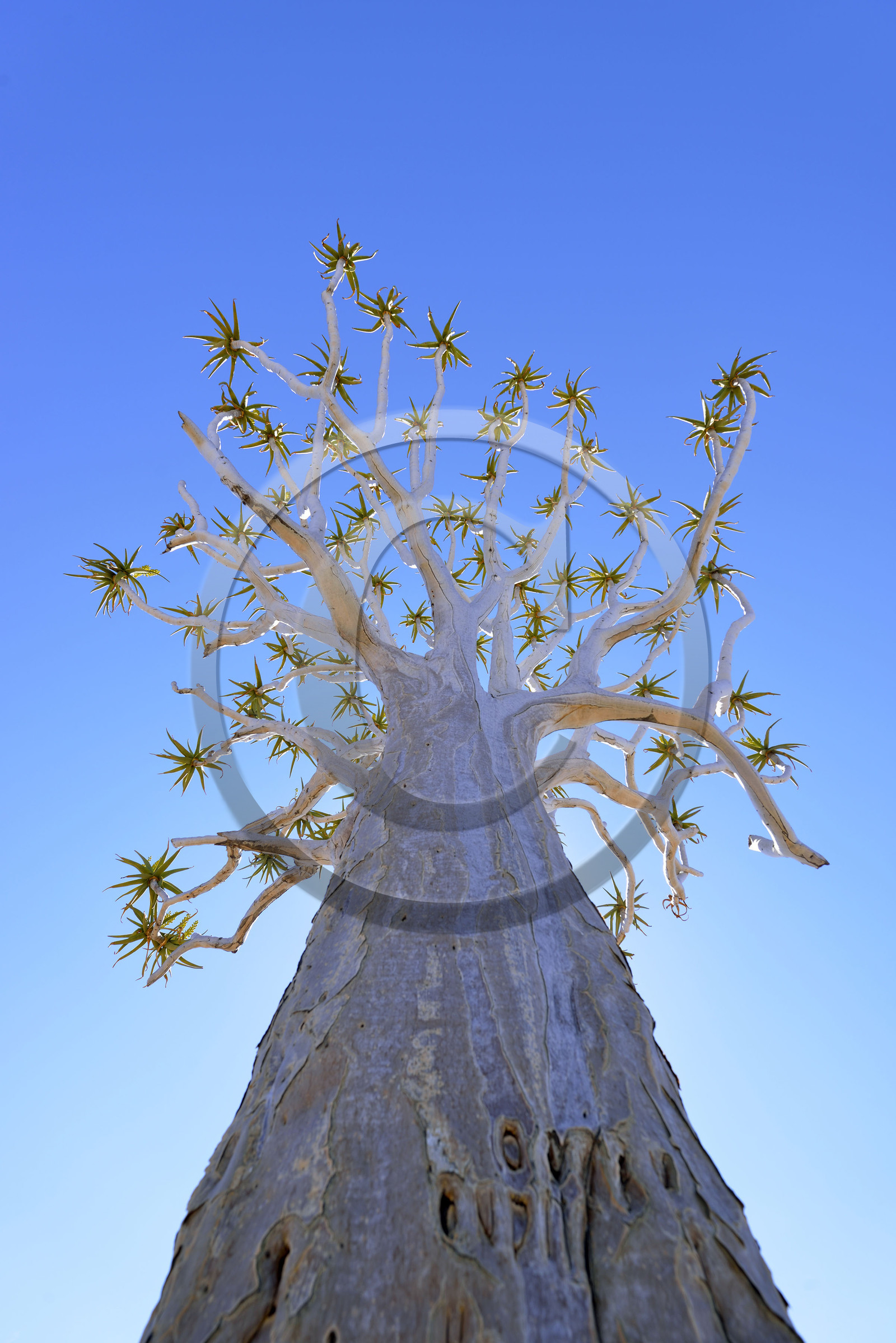 Namibie, Fish River Canyon