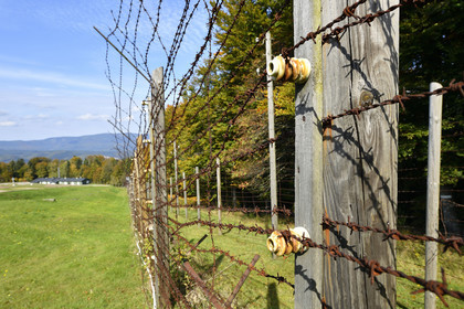 France, Struthof