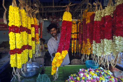 Inde du Sud