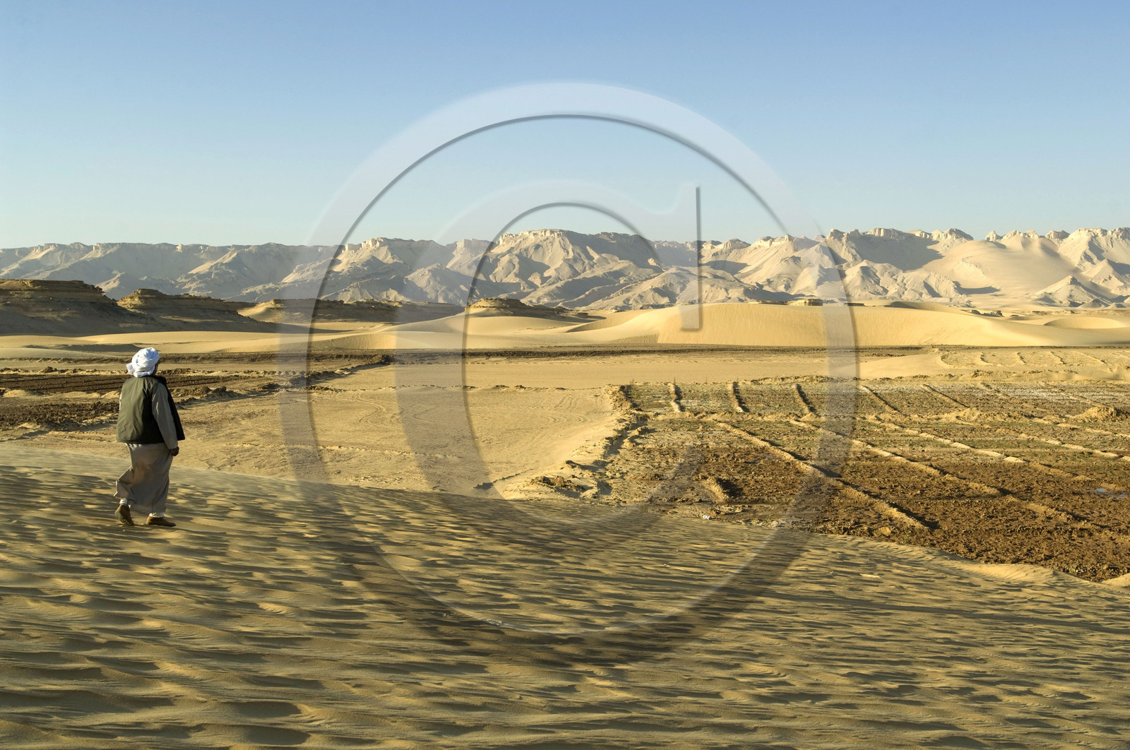 Egypte, Dakhla