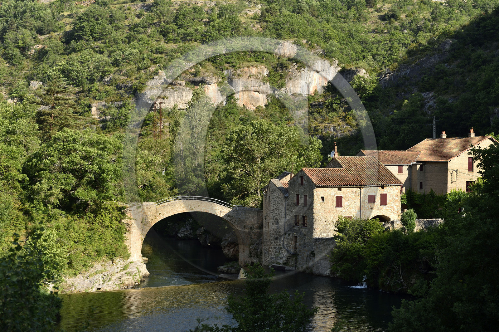 France, Roque