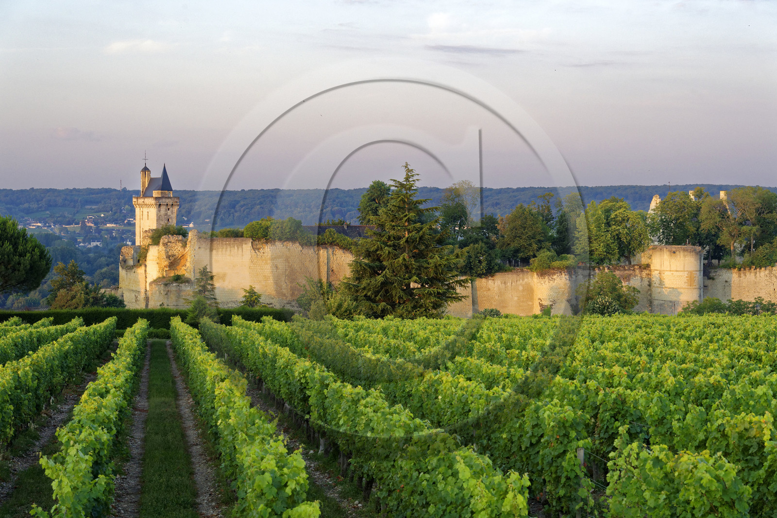 France,  Chinon
