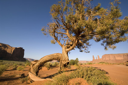 USA, MONUMENT VALLEY