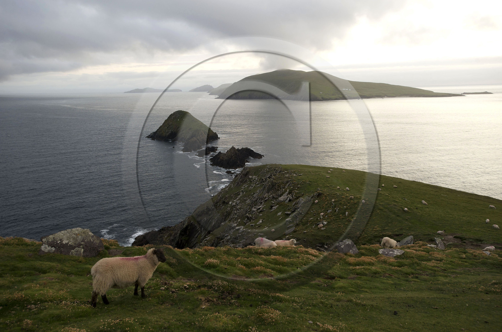 Irlande, Dingle