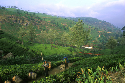 SRI LANKA