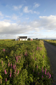 Irlande, Doolin