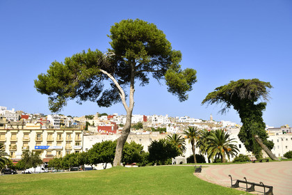 Maroc, Tanger