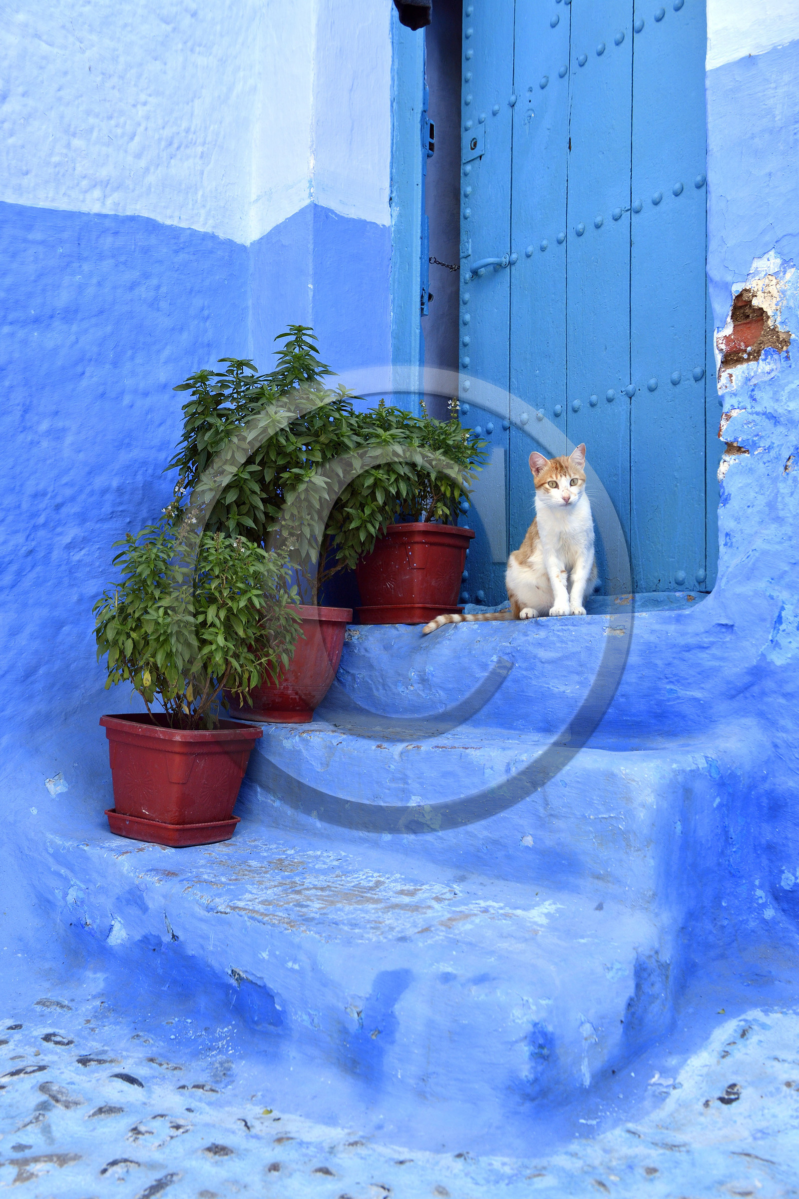 Maroc, Chefchaouen