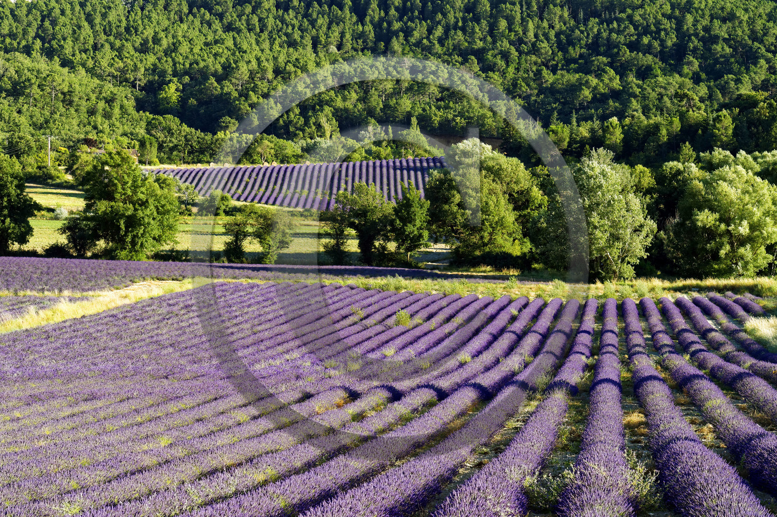 France, Rustrel