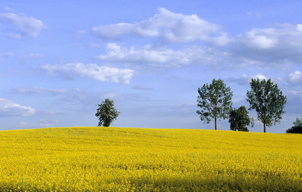 Mazurie, Pologne