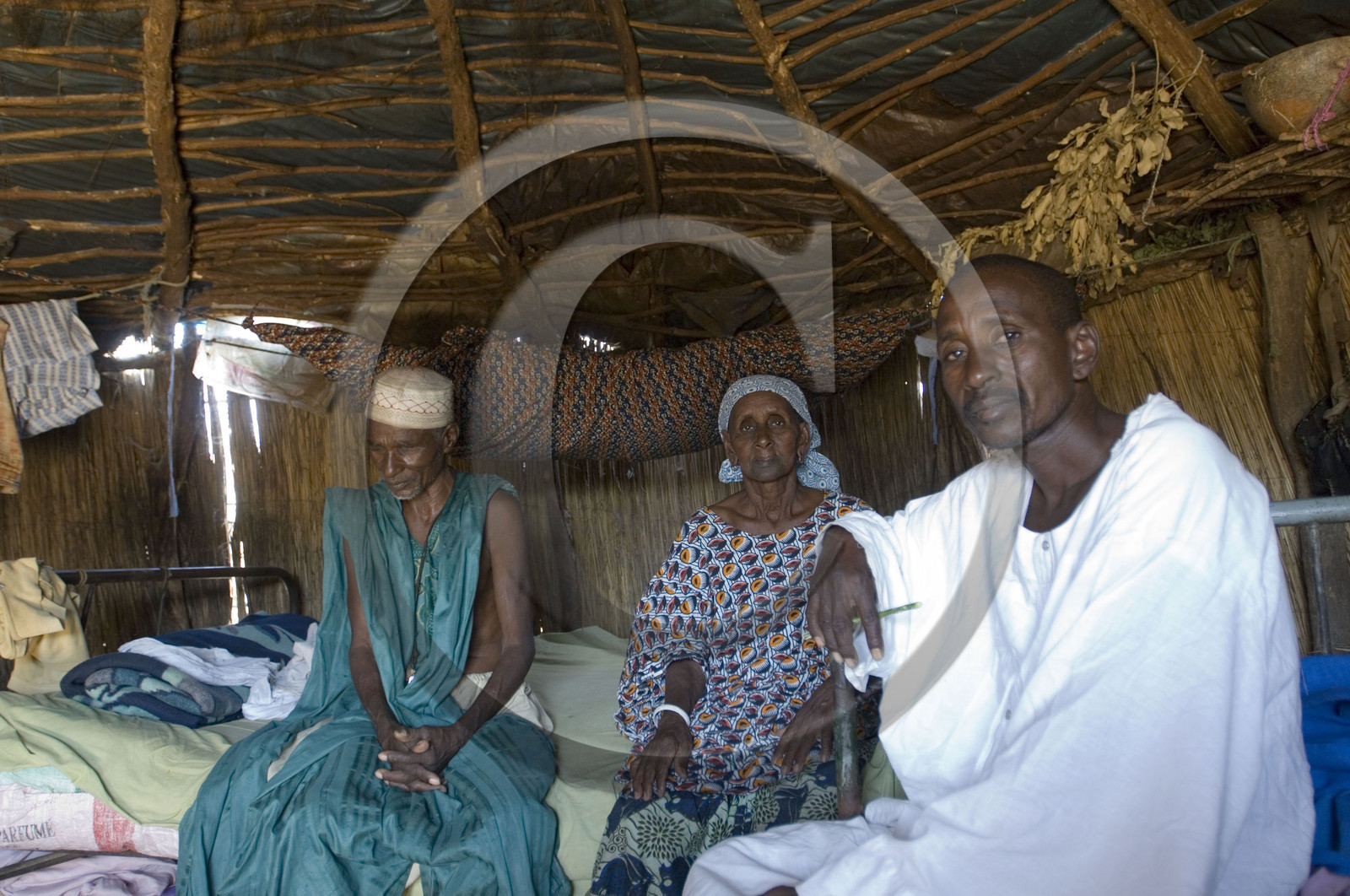 Brousse, Sénégal