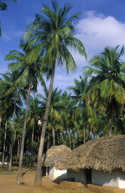 Inde du Sud
