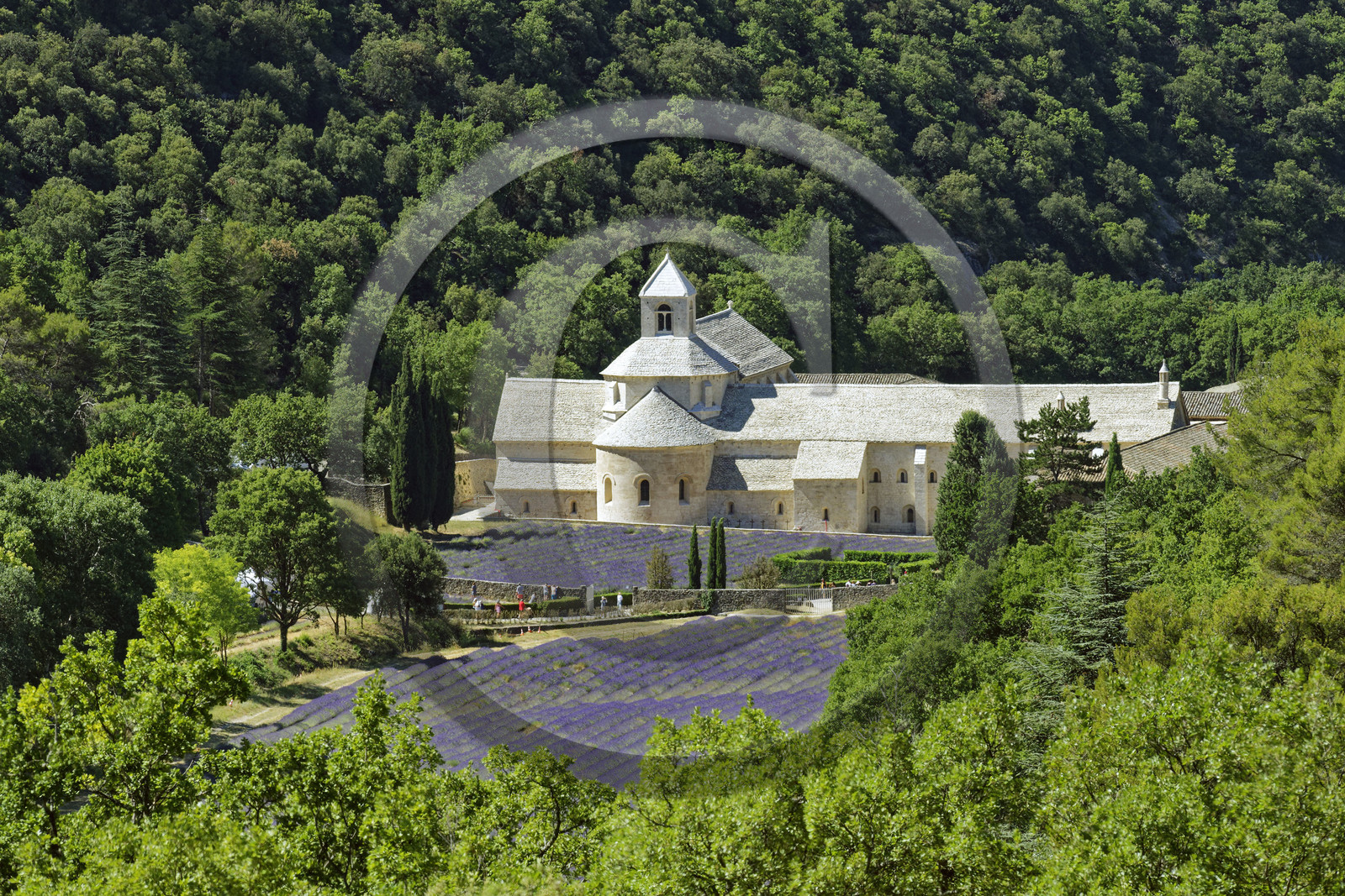 France, Senanque