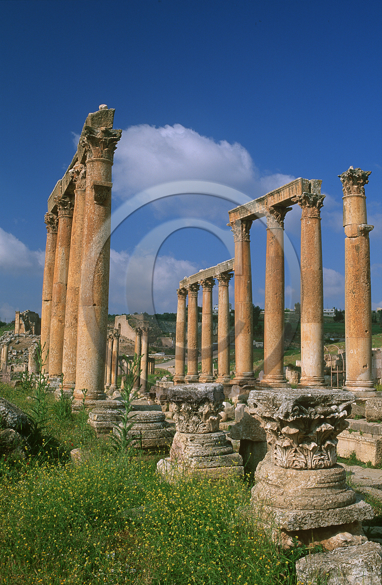 Jordanie