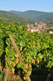 France, Alsace