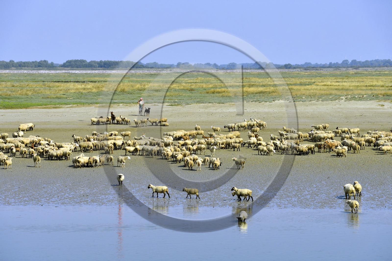 France, Baie de Somme
