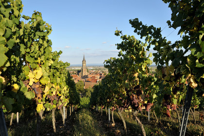 France, Alsace