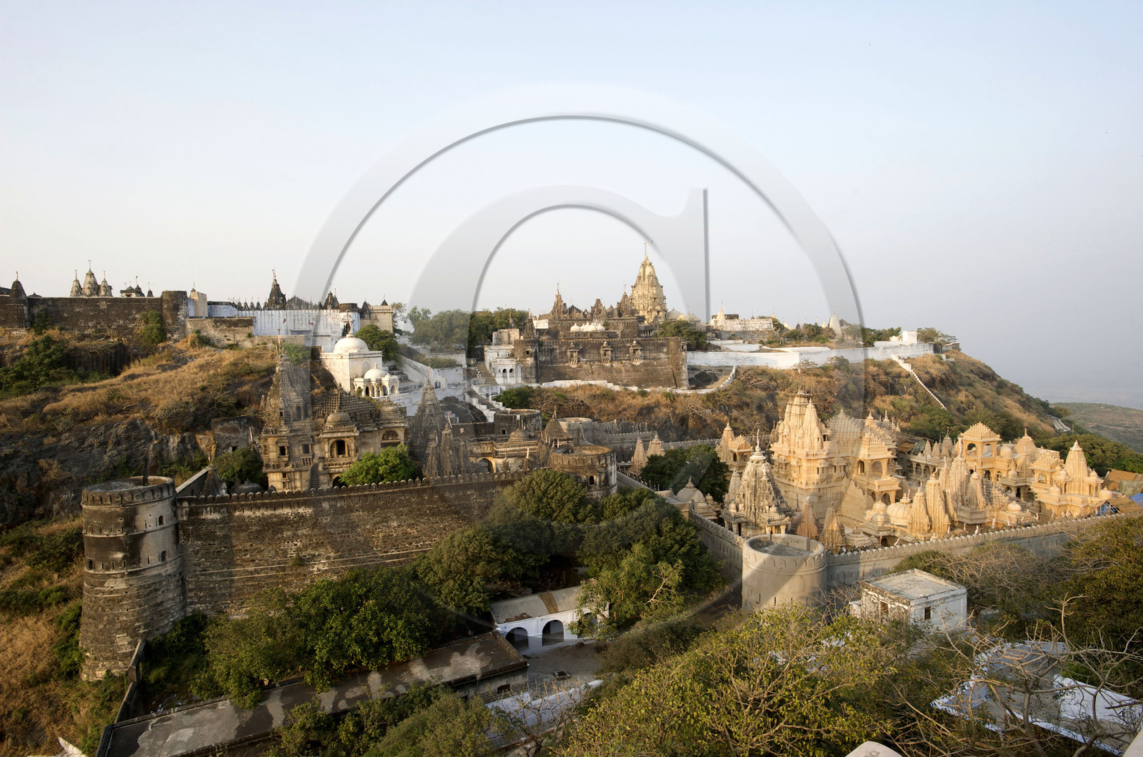 Inde, Palitana