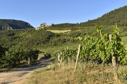 France, Peyrelade
