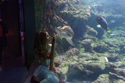 France, Oceanopolis