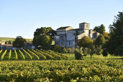 France, Cognac