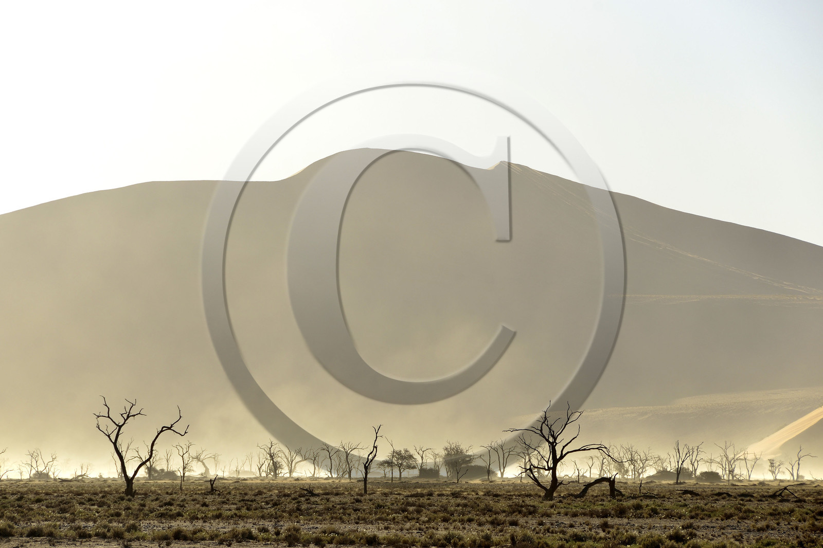 Namibie, Sossusvlei