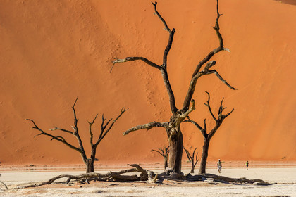 Namibie, Sossusvlei